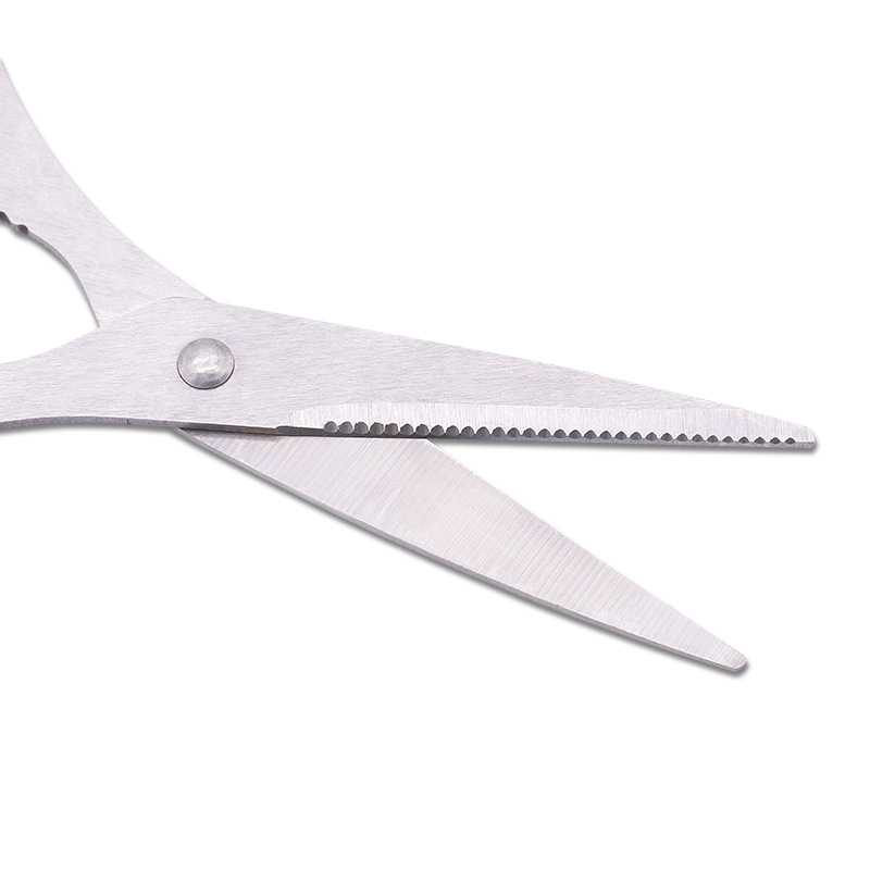 Forbici in acciaio inossidabil - Baby Food Scissors recensione e prezzo