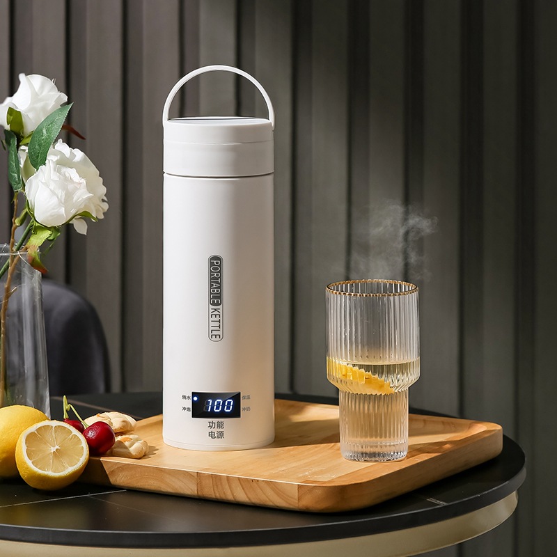Bollitore elettrico da viaggio - Baby Food Warmer recensione e prezzo