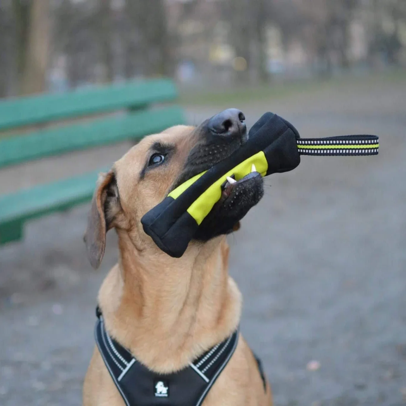 Truelove Dog Training Retrieve - Food Pouch Reusable recensione e prezzo